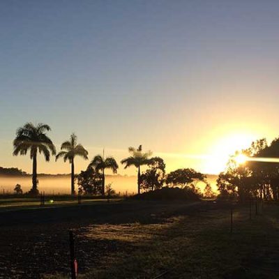 Wanganui Green 13 5_S_Bush_Regeneration_Waganui_Green